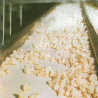 PVC Coated Conveyor Belts PVC Coated Conveyor Belts